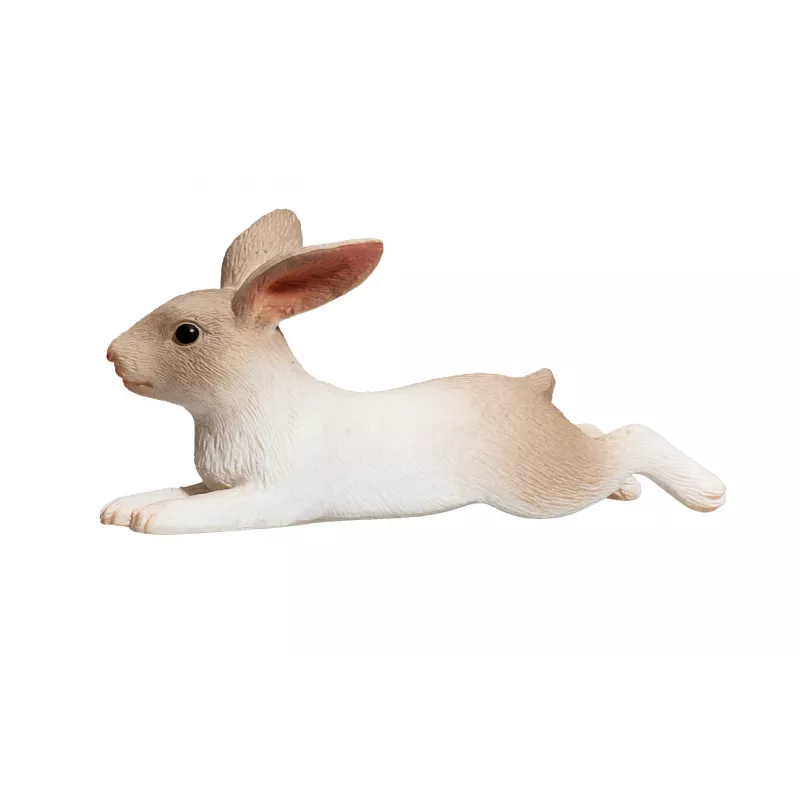 Conejo Acostado