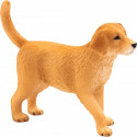 Cachorro Golden Retriever