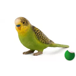 Periquito Verde