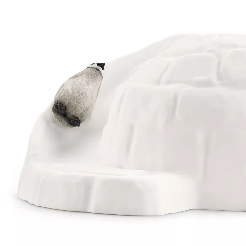 Expedición a la Antártida