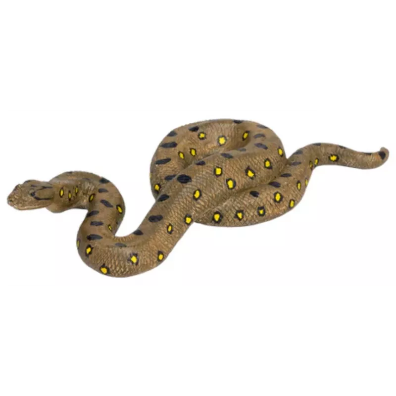 Anaconda
