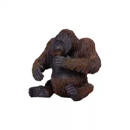 ORANGUTÁN