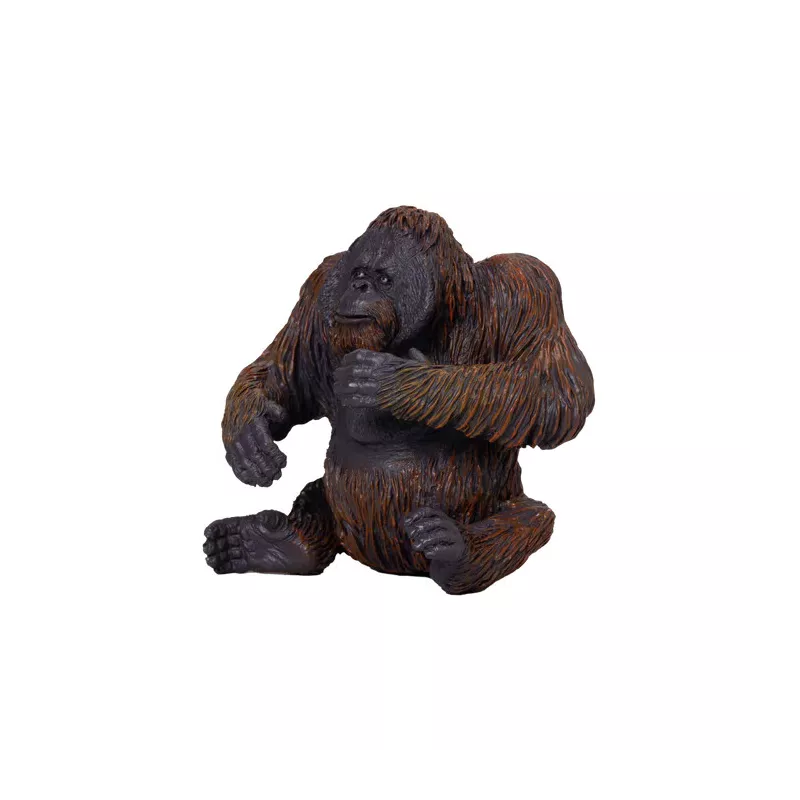 ORANGUTÁN