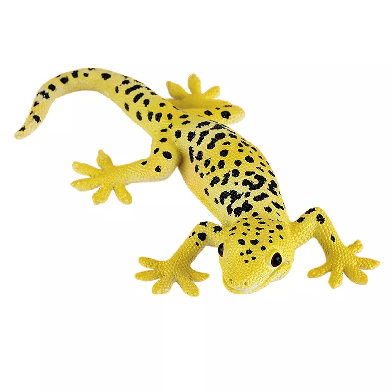 Geco leopardo