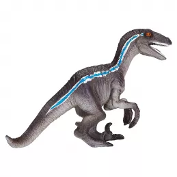 Velociraptor