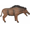 Entelodont Daeodon