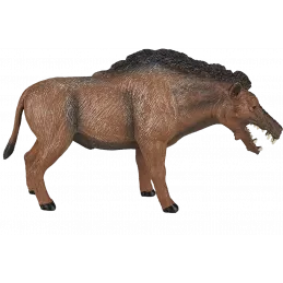 Entelodont Daeodon
