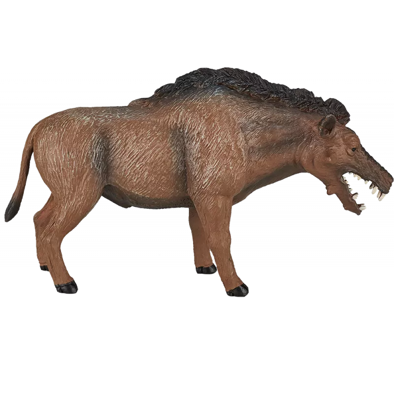 Entelodont Daeodon