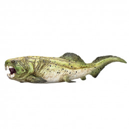 Dunkleosteus