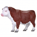 Hereford Toro