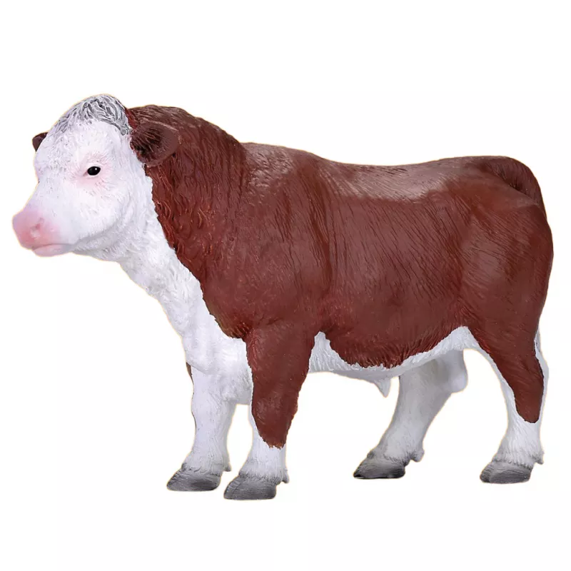 Hereford Toro