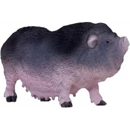 Cerdo barrigon