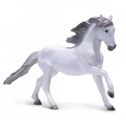 Lusitano Gris