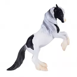 Gypsy Vanner Stallion