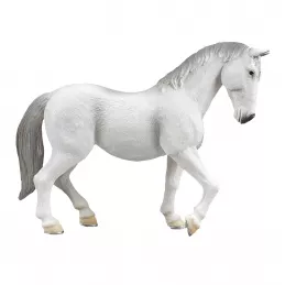Lipizzaner Yegua