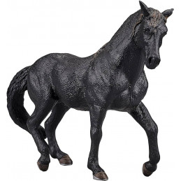 Semental Andaluz Negro