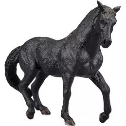 Semental Andaluz Negro