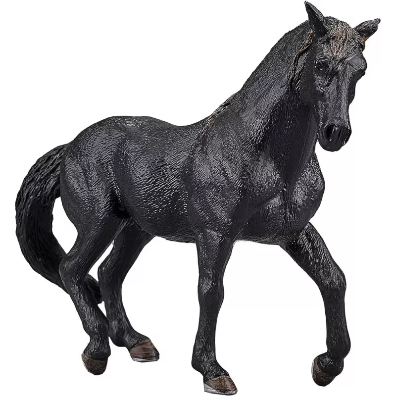 Semental Andaluz Negro