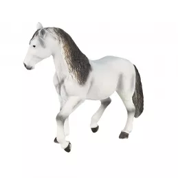 Semental Andaluz Blanco