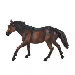 Caballo ceniza