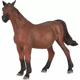 Caballo árabe