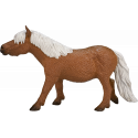 Shetland Pony