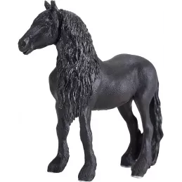 castrado frisón