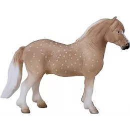 Pony galesa