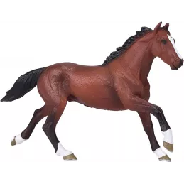 Caballo Thoroughbred