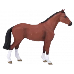 caballo Holandes