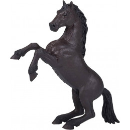 Caballo Mustang negro