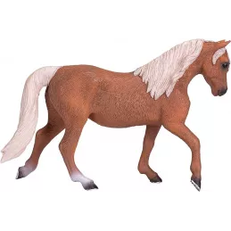 Morgan Semental Palomino marrón