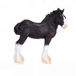 Potro Caballo Comarca Negro