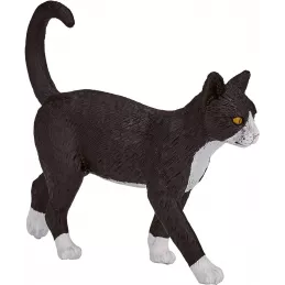 Gato Blanco y Negro