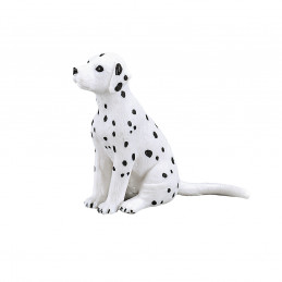 Dalmata cachorro