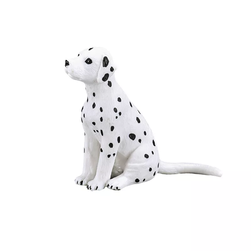 Dalmata cachorro