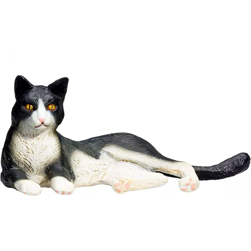 Gato Blanco y Negro Sentado