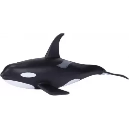 Orca macho