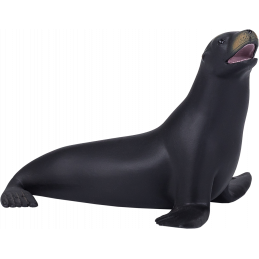 León Marino de California