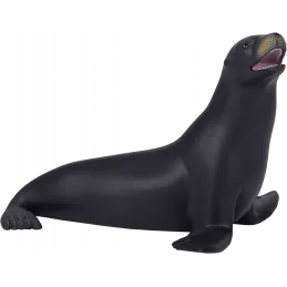 León Marino de California
