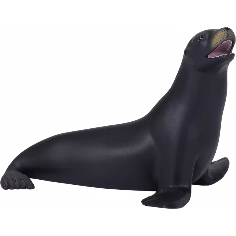 León Marino de California