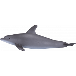 Delfín nariz de botella