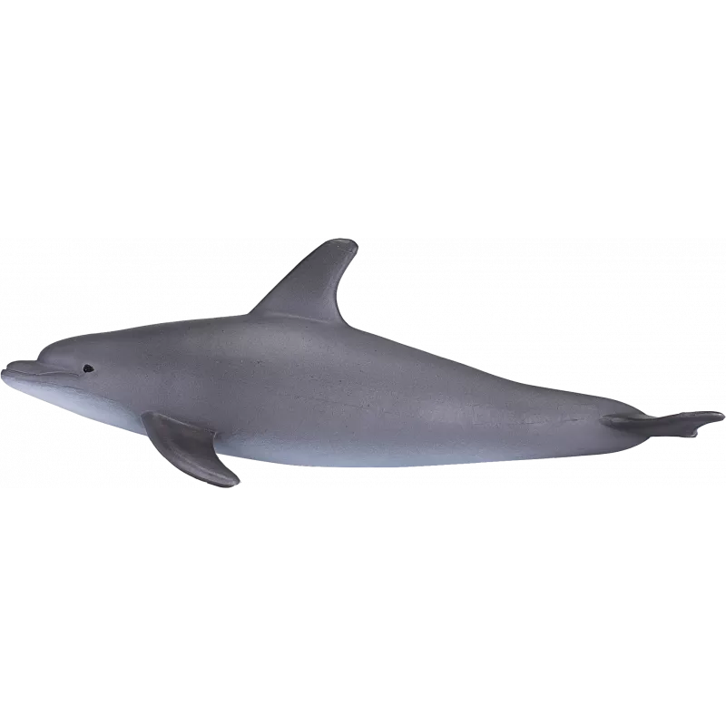 Delfín nariz de botella