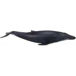 Ballena jorobada