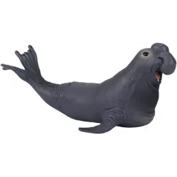 Elefante marino