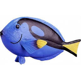 Pez espiga azul