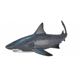 Tiburón toro