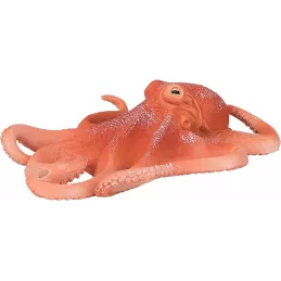 Pulpo