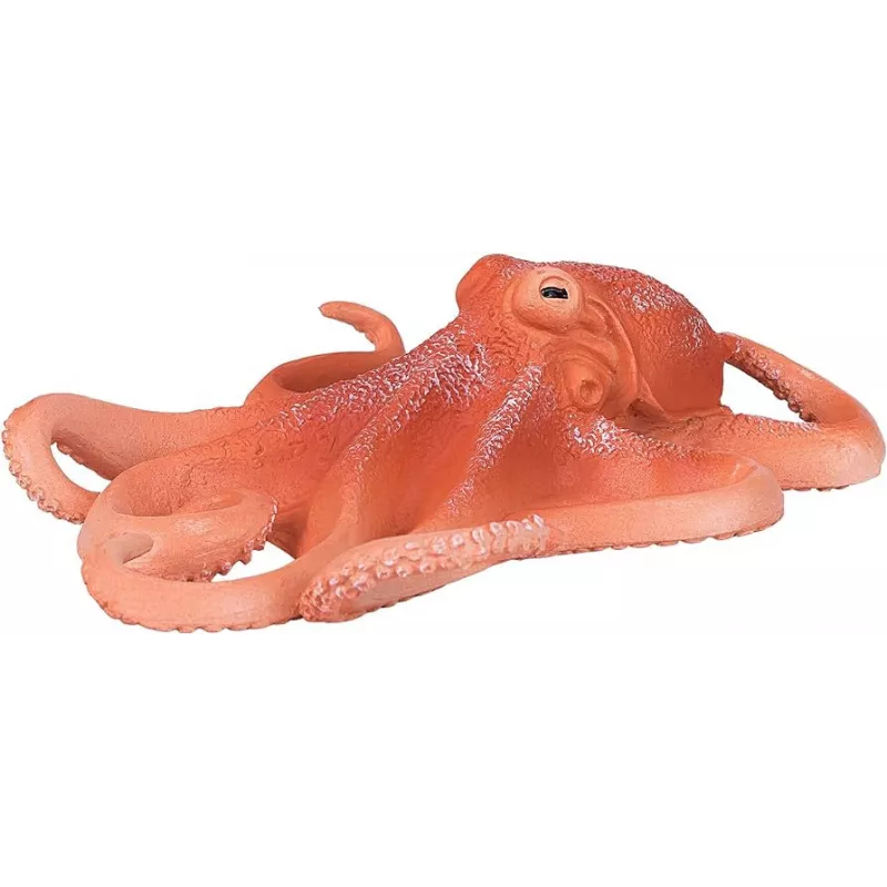 Pulpo