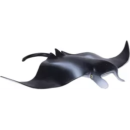 Manta Rayas
